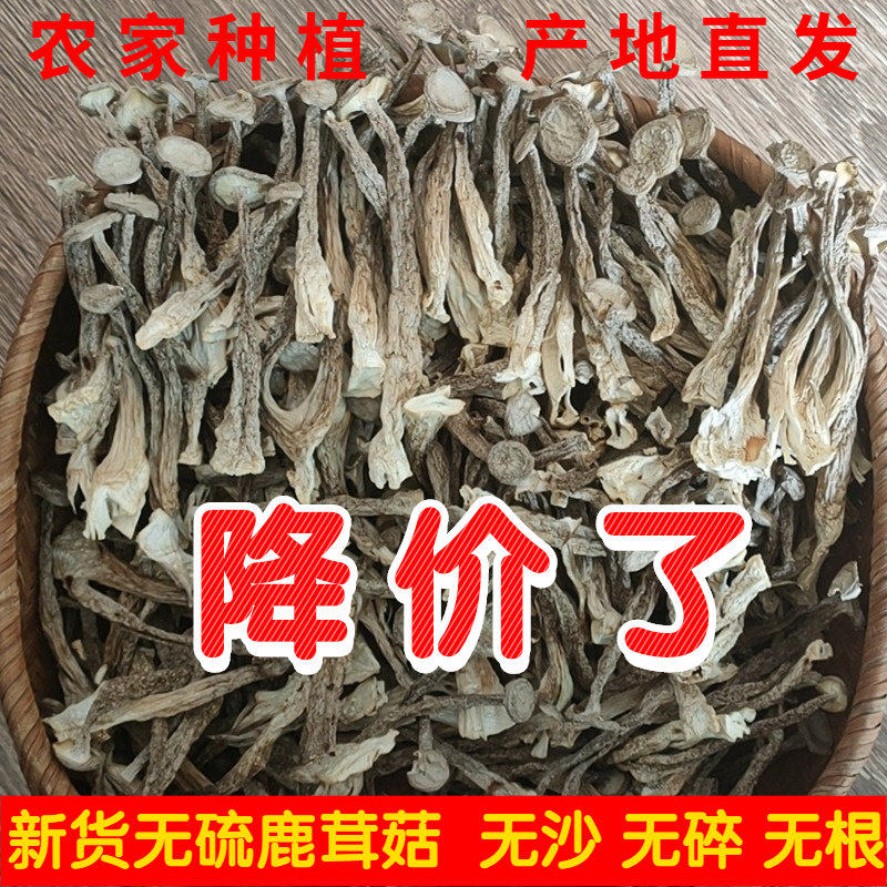 鹿茸菇干货鹿茸菌500g包邮无硫野生菌新鲜特级土特产煲汤食材香菇