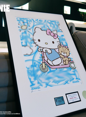 安尼画廊客厅画Kitty猫村上隆版画挂画卧室限量装饰画