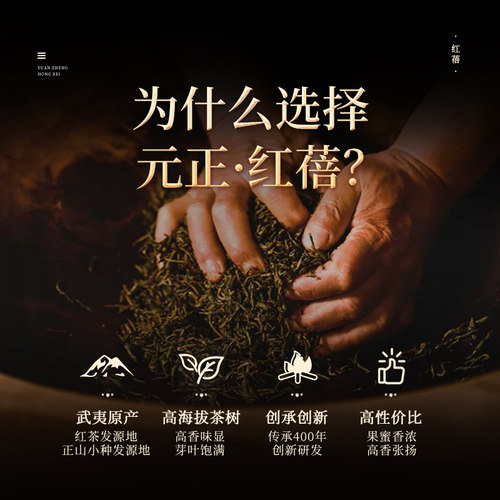 元正茶颜红蓓浓香型红茶正宗武夷山小种红茶茶叶罐装自饮自己喝 - 图2