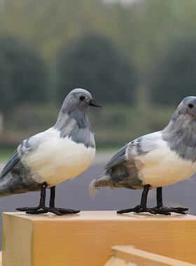 仿真小鸟假鸟黄鹂鸽子黄鹂伯劳