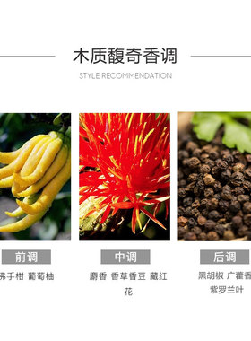 范思哲迪伦海神男士清爽古龙香水