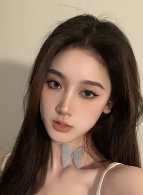 蝴蝶choker颈链夏季项链小众设计