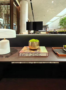 国外进口花盆摆件收纳碗花盆高端办公室金属手工书柜会所花器