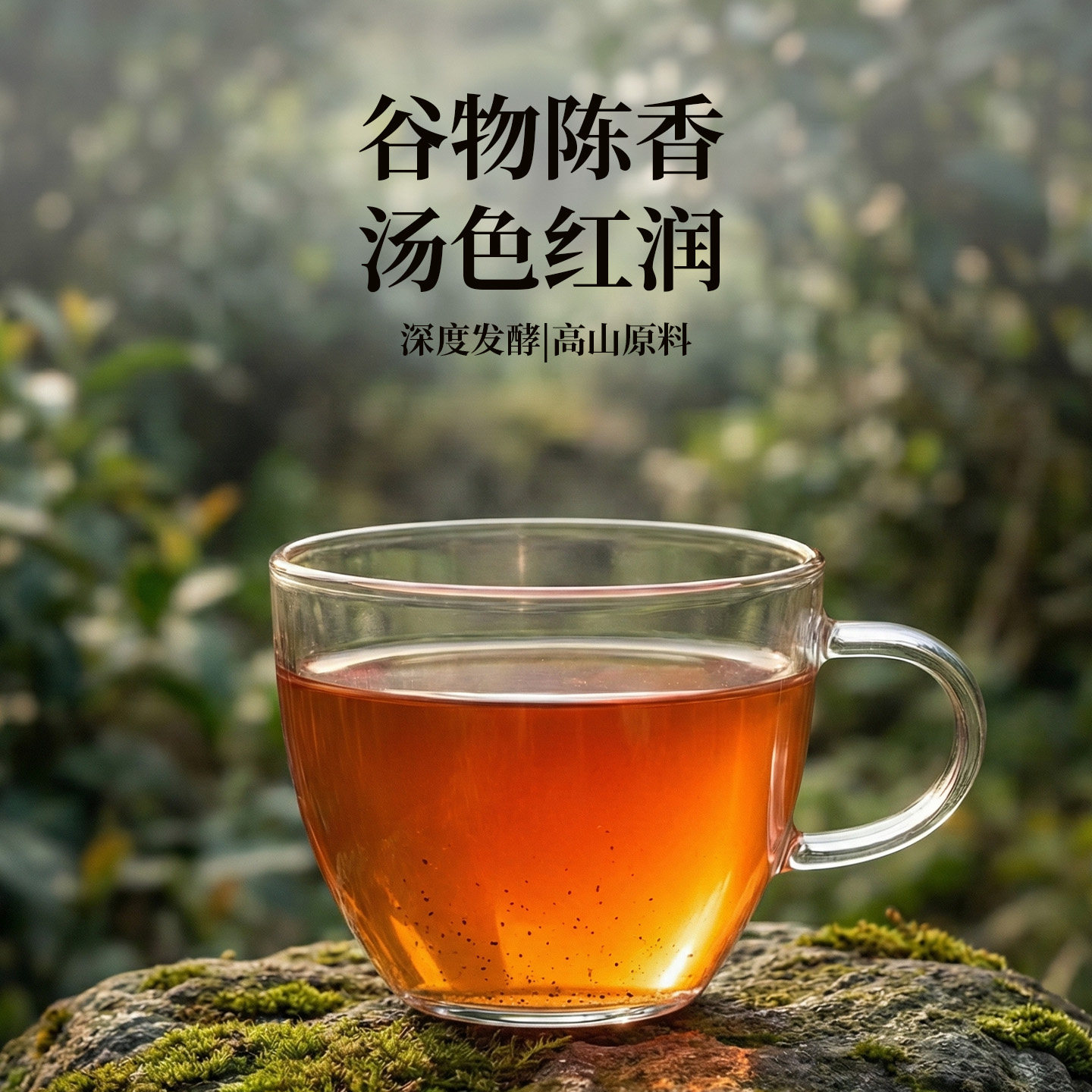 藏茶 藏茶雅安春茶陈年多吉藏茶150g姜公兴芽细罐装四川雅安生产,淘宝优惠券,粉丝福利购,淘宝优惠卷