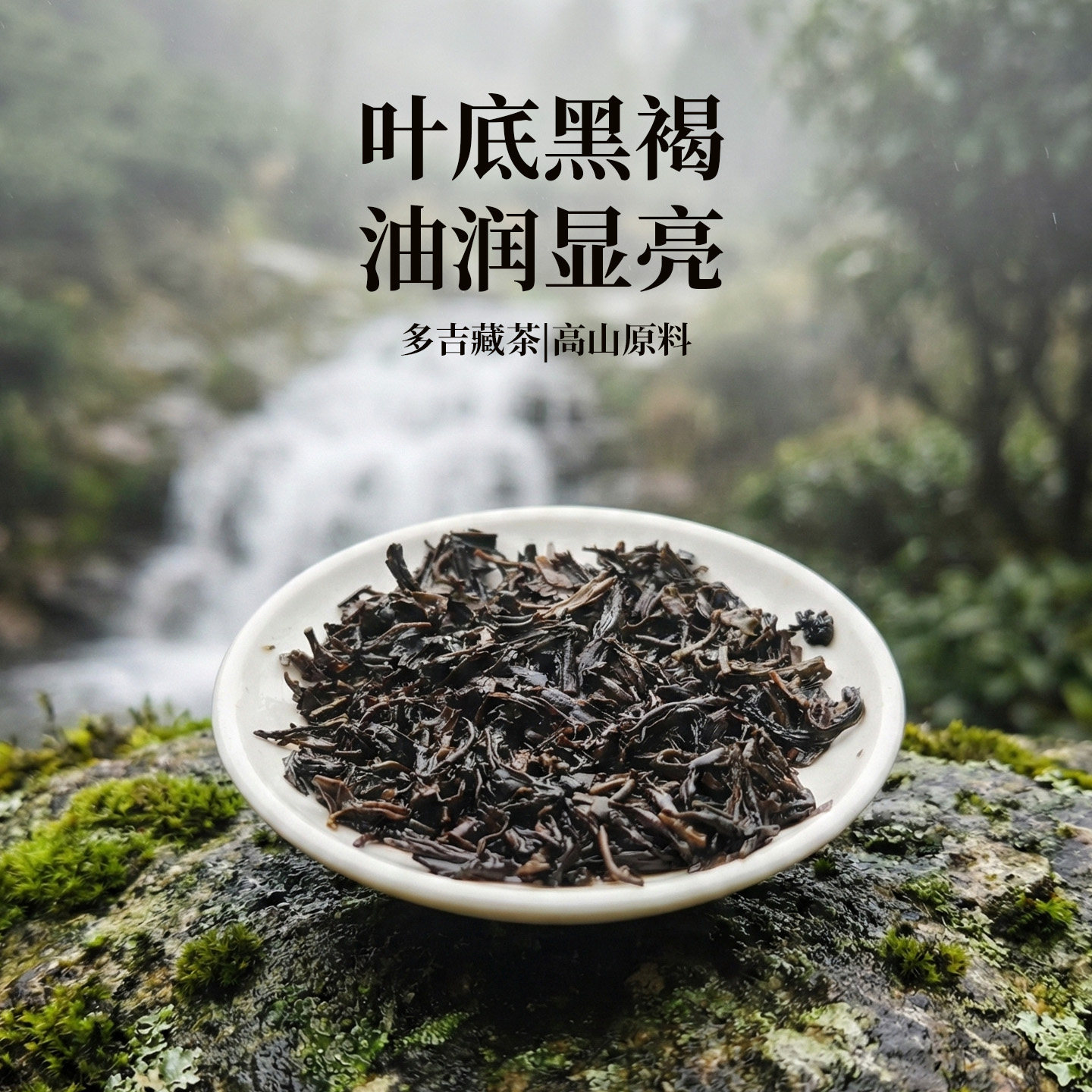 藏茶 藏茶雅安春茶陈年多吉藏茶150g姜公兴芽细罐装四川雅安生产,淘宝优惠券,粉丝福利购,淘宝优惠卷