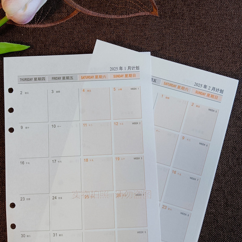 2026年日程本替换芯工作记事本子日程表记事本效率本活页芯6孔9孔,淘宝优惠券,粉丝福利购,淘宝优惠卷