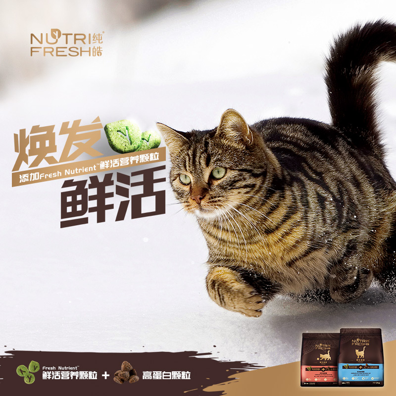 纯皓鲜活无谷英短美短波斯蓝猫小猫幼猫粮鱼鸡配方1.5kg优惠券