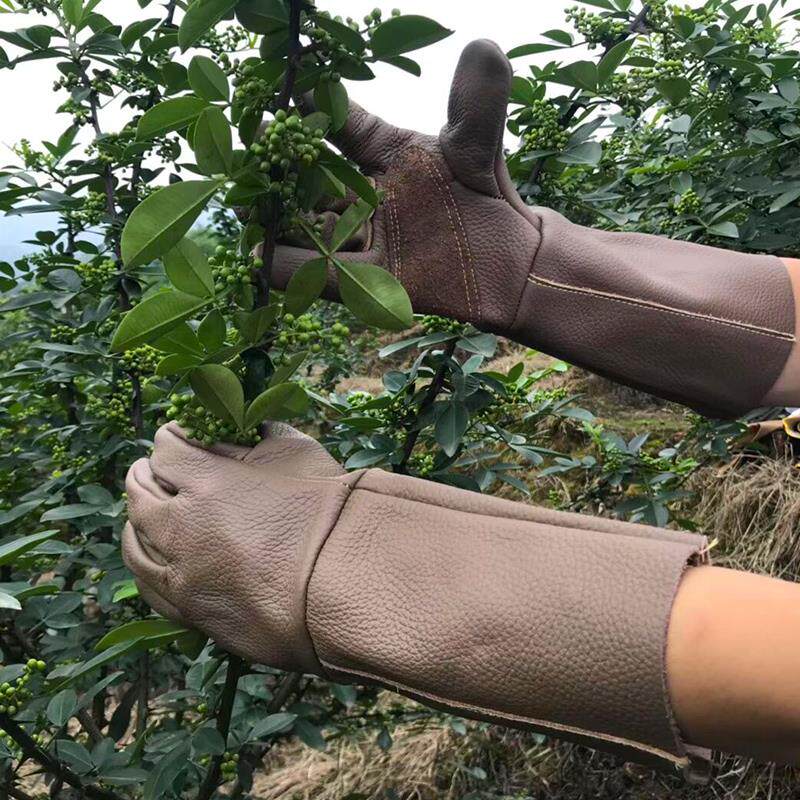 牛皮防刺手套园林园艺扎穿仙人球玫瑰月季修剪摘花椒板栗灵活厚左