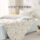 Luolai Class A Tencel Double Soft Yarn Student Four-piece Set