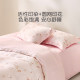 Luolai Class A Tencel Double Soft Yarn Student Four-piece Set