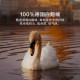 Luolai Germany imported 95 goose down quilt duvet
