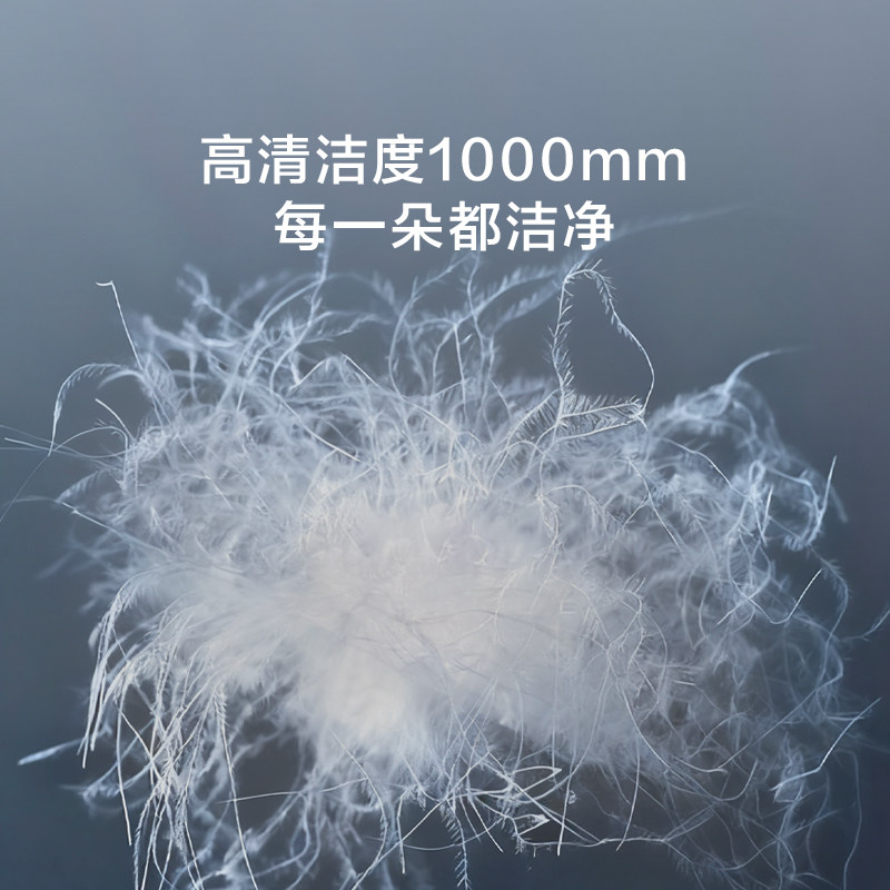 罗莱羽绒被子厚冬被宿舍超柔可水洗提花A类鹅绒结婚加厚保暖冬被,淘宝优惠券,粉丝福利购,淘宝优惠卷