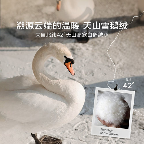 罗莱家纺100支全棉羽绒被芯95白鹅绒被子春秋冬被可水洗结婚喜被 - 图0