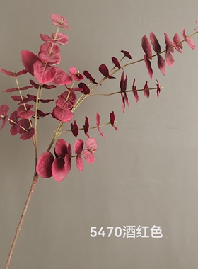美拉德色系仿真尤加利叶北欧家居装饰长款金钱叶婚庆装饰路引叶材