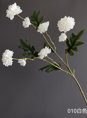 冰岛雏菊 小野菊北欧 田园阳台餐桌客厅家居装饰婚庆服装设计假花
