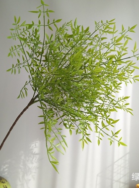仿真植物软胶南天竹 天葵竹 新中式家居酒店样板间装饰 摄影婚庆