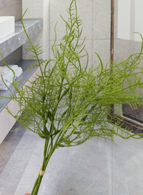 蕨草扎束 水蕨文竹波斯叶北欧家居插花配材婚庆手捧花摄影把束叶