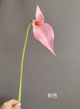 仿真EVA双头马蹄莲海芋 奶油风家居样板间婚庆橱窗陈设装饰花批发