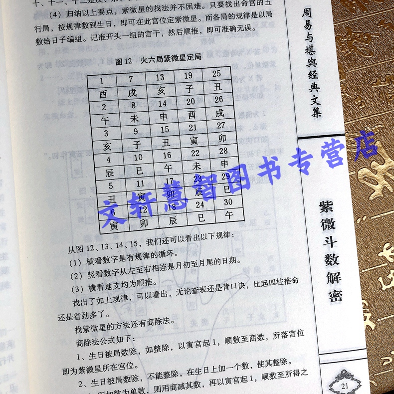 正版全2册紫薇紫微斗数全书倪海厦命盘分析解析入门讲义全集解密看盘飞星课程陈抟一本通预测命理学白话释意教程书籍王道亨李非著