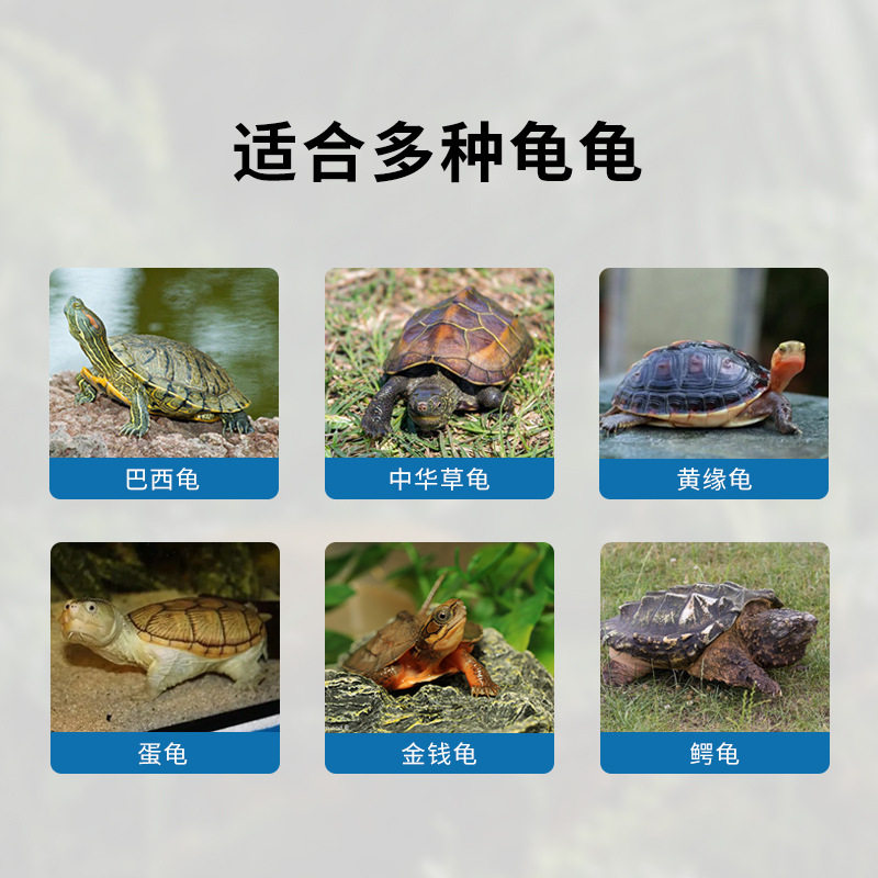 森森sunsun新款乌龟缸 家用超白玻璃龟缸 可拆卸玻璃乌龟晒台爬缸,淘宝优惠券,粉丝福利购,淘宝优惠卷