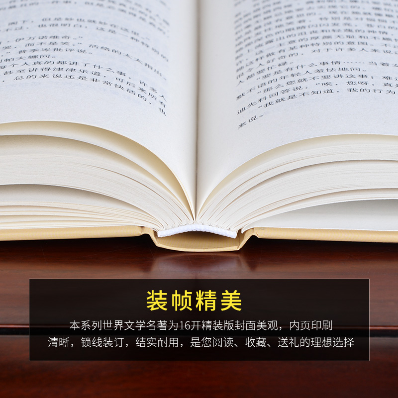 白痴上下册陀思妥耶夫斯基文集外国文学经典名家名译全译本白痴2册孩子成人均可阅读世界名著经典外国悬疑文学小说正版书籍三读