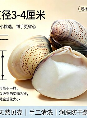 老国货正品蛤蜊油护手霜秋冬防干裂冻疮文蛤油老上海牌擦手脚贝壳