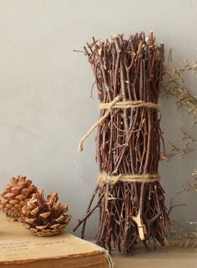 造型橱窗天然干枝拍照树皮标本