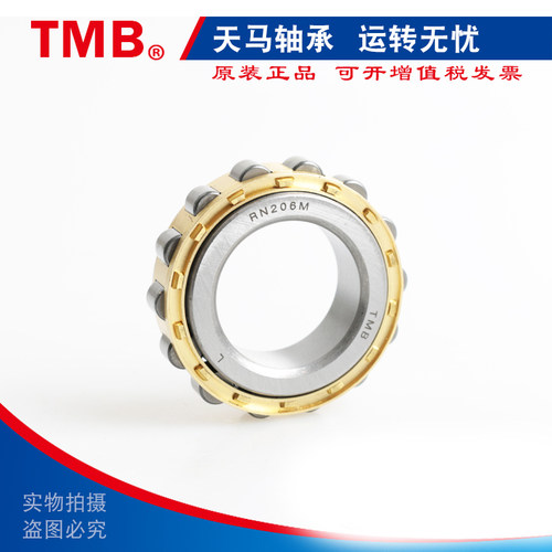 TMB天马减速机偏心轴承RN205 206 207 219 222  307 308 309 312M - 图1