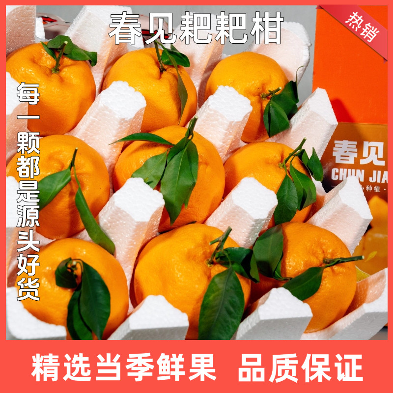 四川春见耙耙柑10斤新鲜水果粑粑柑正宗当季丑桔子现摘杷杷柑顺丰,淘宝优惠券,粉丝福利购,淘宝优惠卷