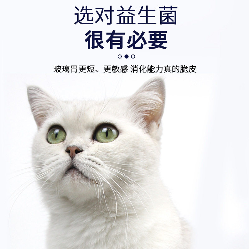 道力其猫咪益生菌片180粒 宠物调理肠胃腹泻呕吐保健营养成猫幼猫,淘宝优惠券,粉丝福利购,淘宝优惠卷