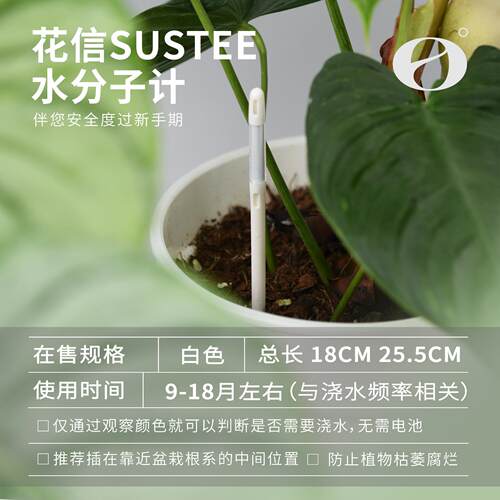 活性保持/花信水分子计 土壤湿度检测仪 缺水提醒新手浇水助手 - 图0