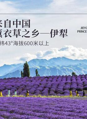 新疆解忧公主乐园彩田礼盒单方薰衣草纯精油面部脸部提亮肤色正品