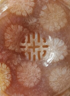 珊瑚玉语 （已出）粉冰大花无敌质感万福牌（直播间选拍链接）