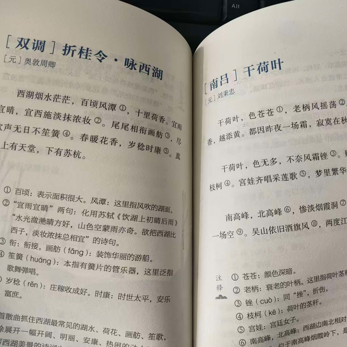 日有所诵六年级上下册第七版全套正版小学生6年级小学我的亲近母语课幼儿每日诵读广西师范大学出版社阅读测试写作课大字珍藏版