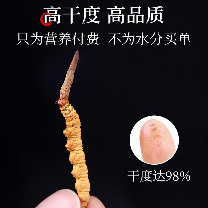 云麓新鲜冬虫夏草旗舰店头期虫草干货4根/克20克礼盒装【附质检】 - 图2