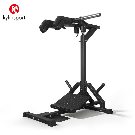 Hack Squat Single Standing Gym