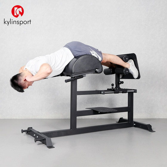 Roman chair fitness chair goat push up waist power back