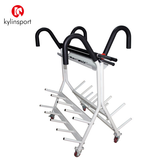 Barbell rack with removable Olympic bar to store fitness equipment