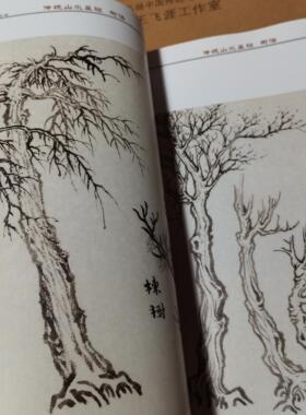 王飞涯传统山水画旧版教材清仓