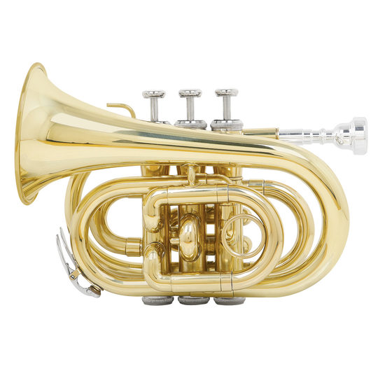 Плоская ладонная труба B, латунная карманная труба, корнет, микротруба, экзамен для начинающих, западный духовой инструмент, труба