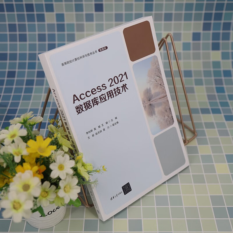 官方正版 Access 2021数据库应用技术 李向群 高娟 高等院校计算机科学与技术丛书 数据库软件开发教材书 清华大学出版社 - 图1