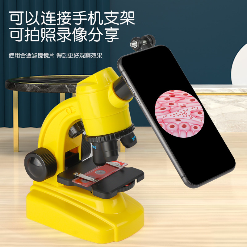 图2