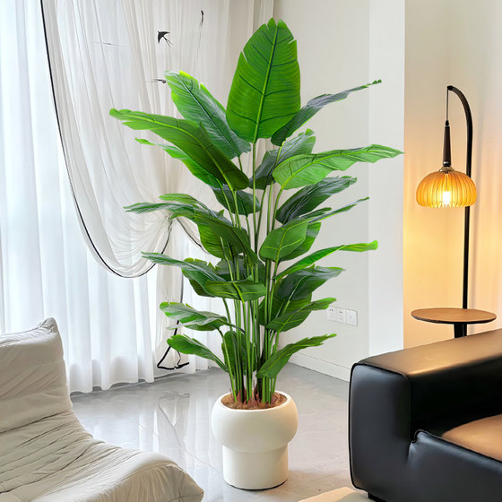 Large living room floor-standing ornaments, indoor sofa, TV cabinet next to fake plant, traveler banana, bird of paradise, simulated green plant