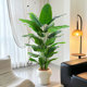 Large living room floor-standing ornaments, indoor sofa, TV cabinet next to fake plant, traveler banana, bird of paradise, simulated green plant