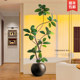 Rubber tree simulated green plant high-end light luxury living room ornaments large indoor floor-standing bionic potted fake plant decoration