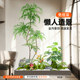 Give you a small forest with simulated green plants and landscaping