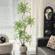 Nandina bamboo simulated green plant large indoor potted decorative flower ornaments living room floor-standing tree advanced bionic fake plant