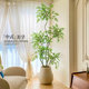 Nandina bamboo simulated green plants high-end light luxury indoor living room TV cabinet floor-standing ornaments bionic plant potted fake trees