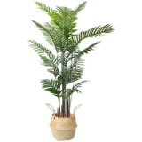 Sanjiefishi Simulation Зеленые растения Nordic ins Wind -Pseudo Pseudo -Plant Plant