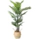 Sanwei Kwai simulated green plant Nordic ins potted floor-standing